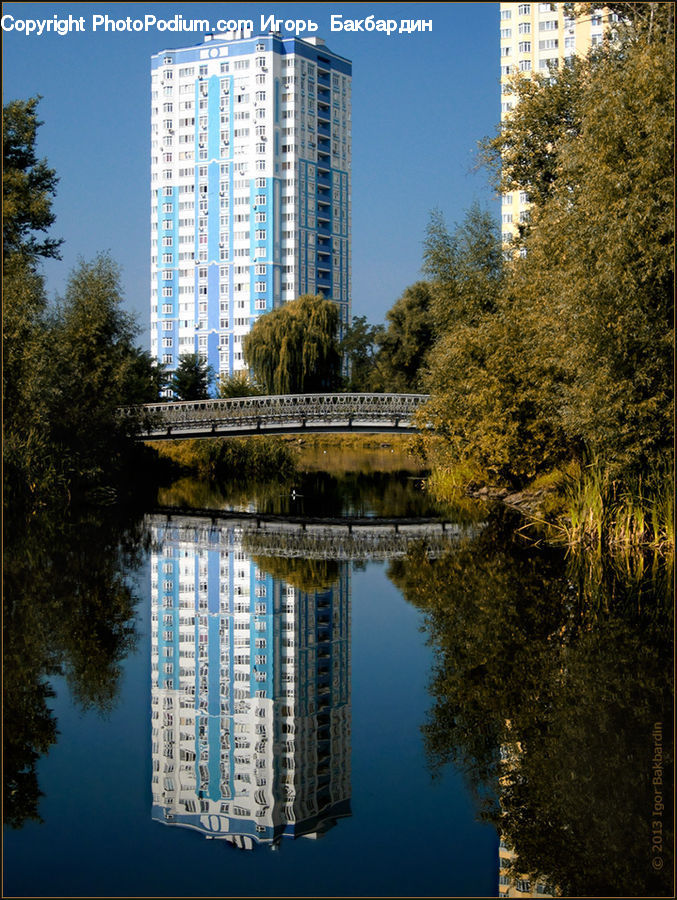 Building, Housing, City, High Rise, Plant, Tree, Conifer