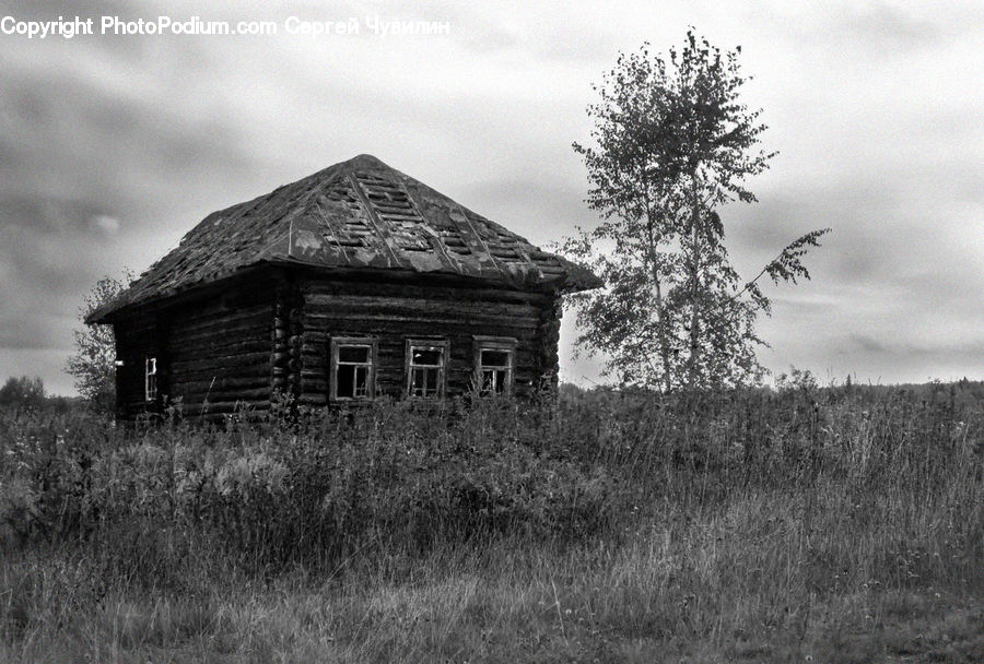 Cabin, Hut, Rural, Shack, Shelter, Building, Cottage