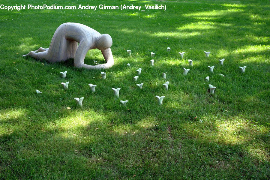 Field, Grass, Grassland, Plant, Lawn, Outdoors, Art