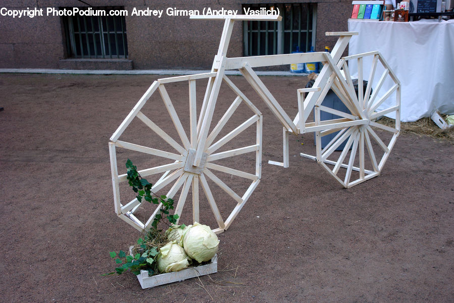 Cabbage, Produce, Vegetable, Chair, Furniture, Flower Arrangement, Ikebana