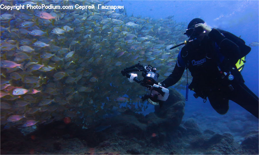 People, Person, Human, Diver, Diving, Sport, Water