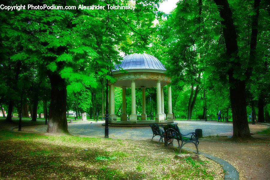 Gazebo, Bench, Park, Plant, Tree, Fir, Forest