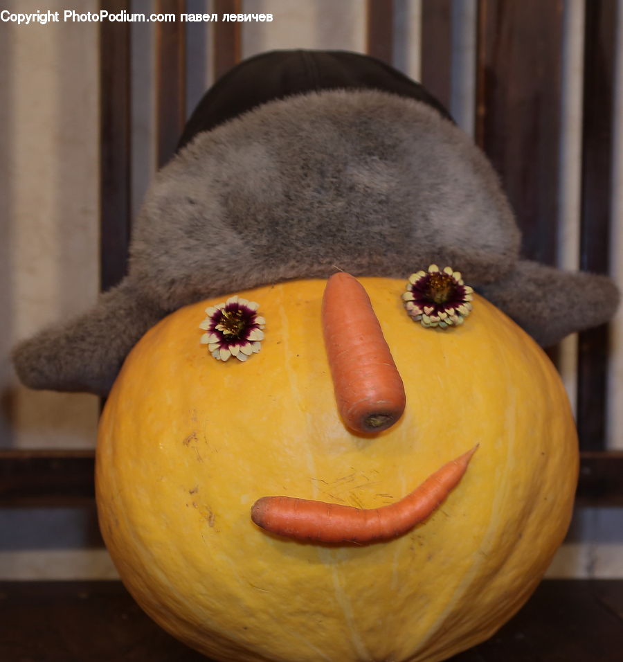 Gourd, Produce, Vegetable, Pumpkin, Squash