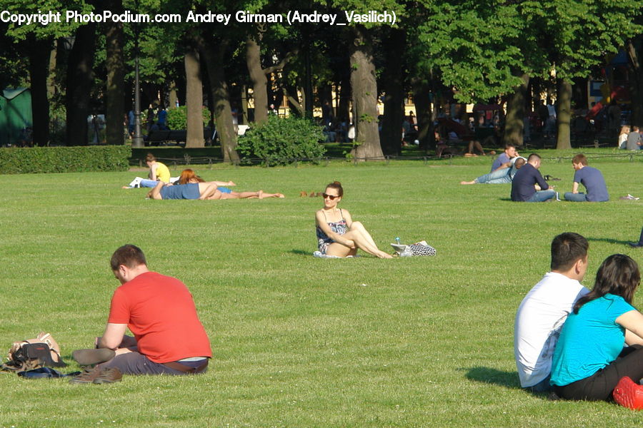 People, Person, Human, Plant, Potted Plant, Forest, Grove