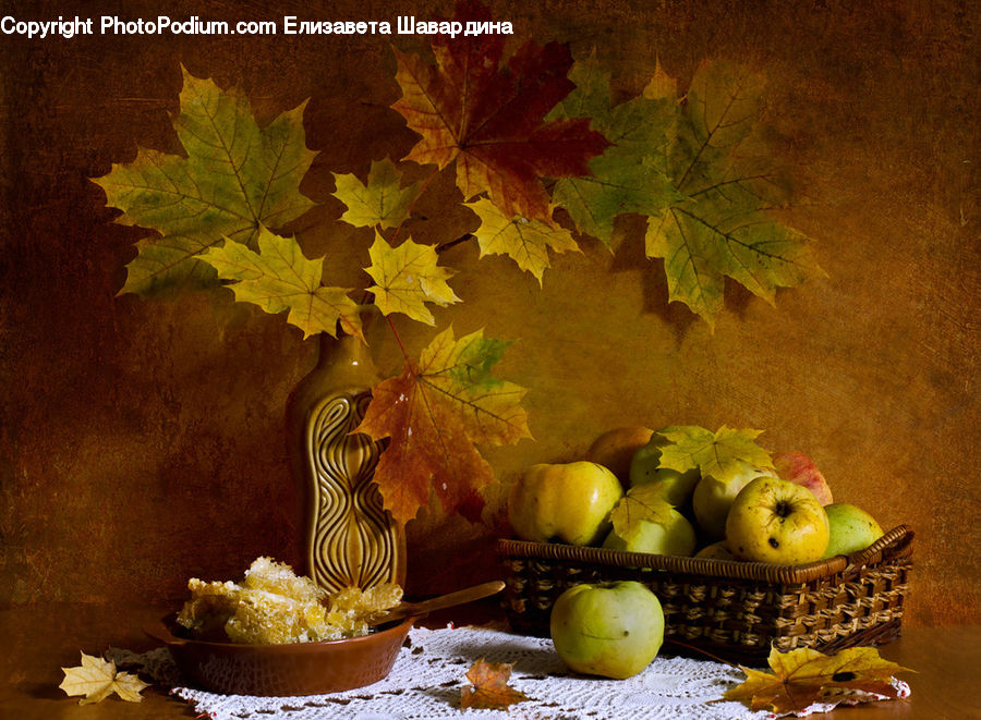Maple, Maple Leaf, Plant, Fruit, Grapes, Tree, Wood