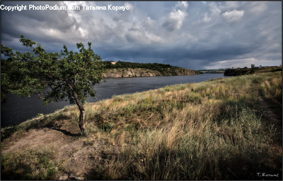 Field, Grass, Grassland, Plant, Land, Outdoors, Lake