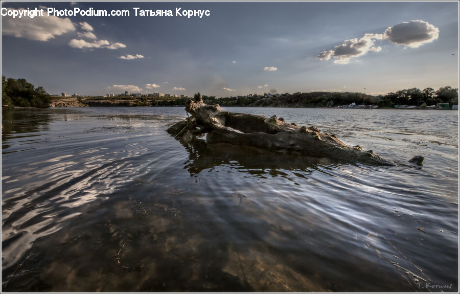 Driftwood, Wood, Water