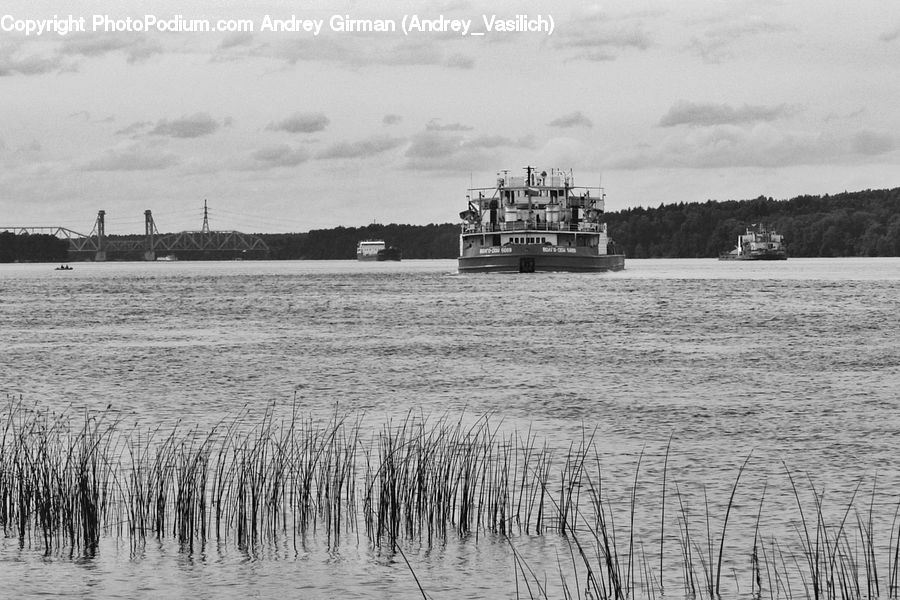 Cruise Ship, Ferry, Freighter, Ship, Tanker, Vessel, Field
