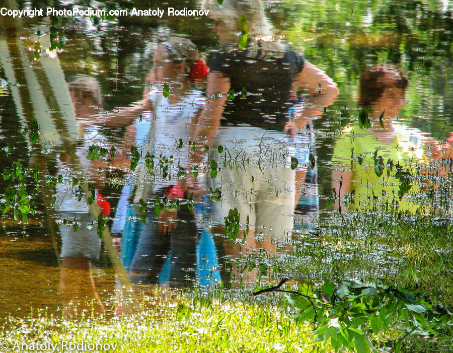 Outdoors, Pond, Water, Ripple, Land, Marsh, Swamp