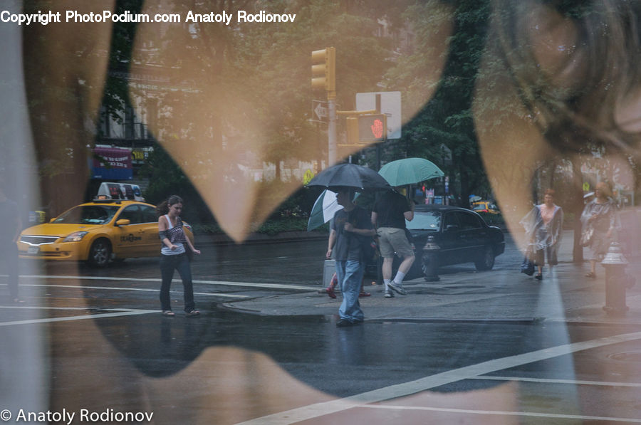 Umbrella, People, Person, Human, Cab, Car, Taxi