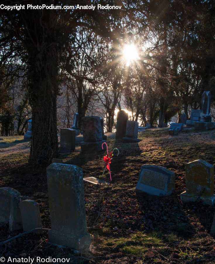 Tomb, Tombstone, Soil, Chair, Furniture, Ground, Field