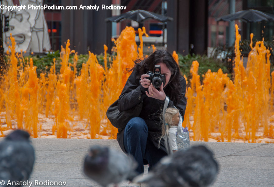 People, Person, Human, Umbrella, Photographer, Art, Plant