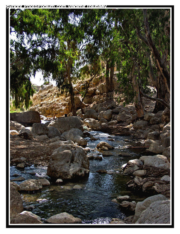 Rock, Creek, Outdoors, Stream, Water, River, Forest