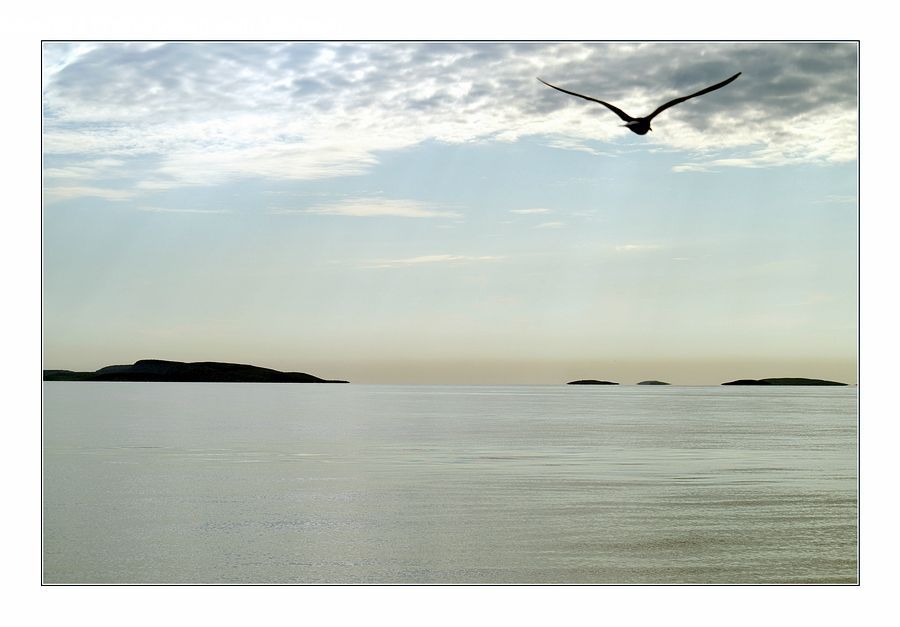 Outdoors, Sea, Water, Collage, Poster, Beach, Coast