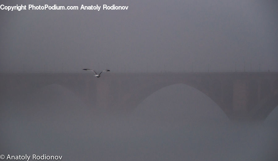 Fog, Adventure, Flight, Gliding