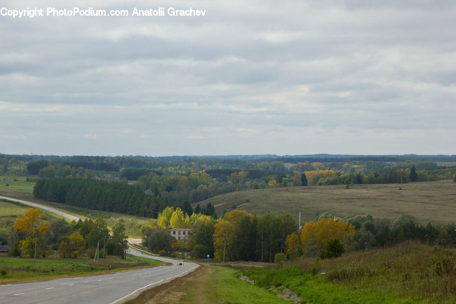 Dirt Road, Gravel, Road, Field, Grass, Grassland, Land