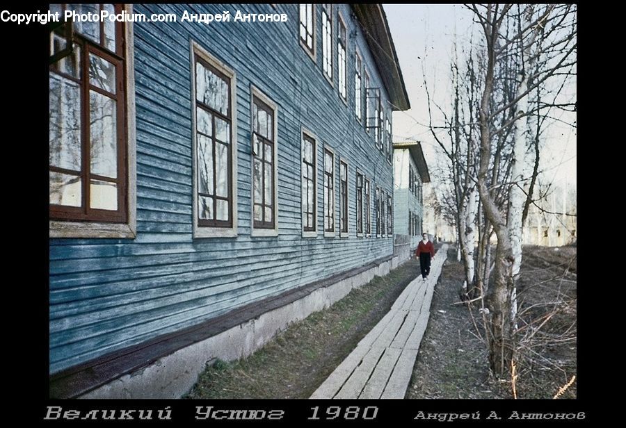 Alley, Alleyway, Road, Street, Town, Building, Housing