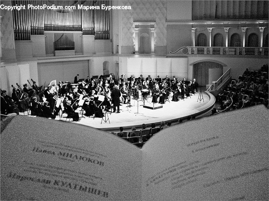 Musical Instrument, Orchestra, Auditorium, Concert, Hall, Indoors, Theater