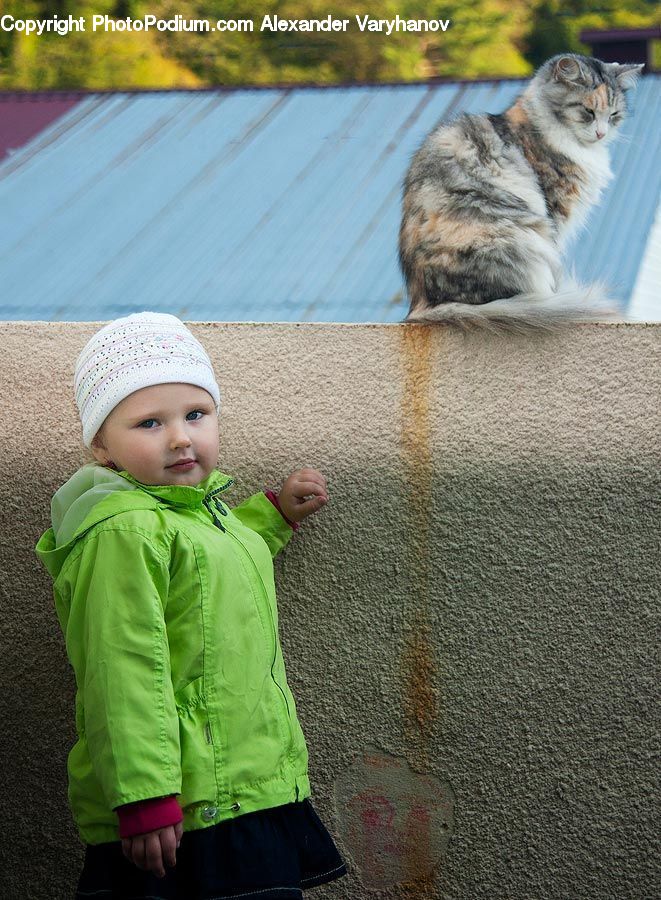 Human, People, Person, Animal, Cat, Mammal, Pet