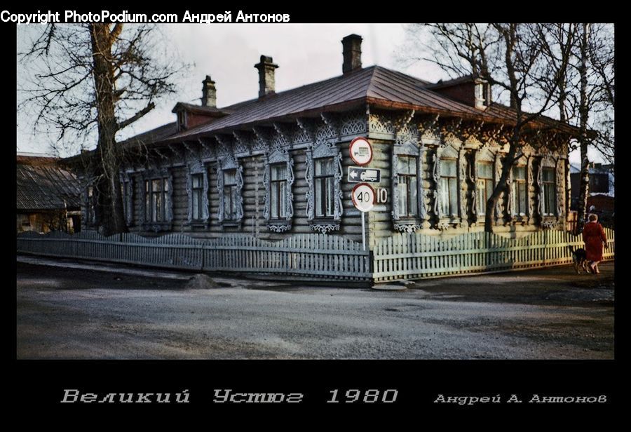 Building, Housing, Villa, Architecture, Mansion, Downtown, Town