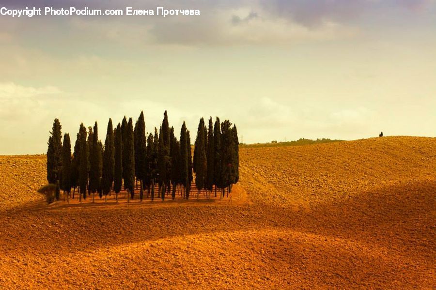 Dirt Road, Gravel, Road, Desert, Outdoors, Soil, Field