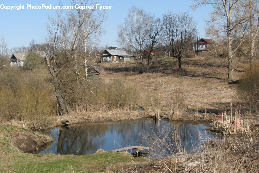 Outdoors, Pond, Water, Land, Marsh, Swamp, Bush