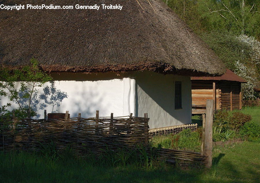 Plant, Potted Plant, Building, Cottage, Housing, Hut, Shelter