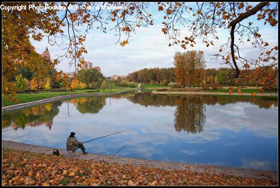 Outdoors, Pond, Water, Park, Blossom, Flora, Flower
