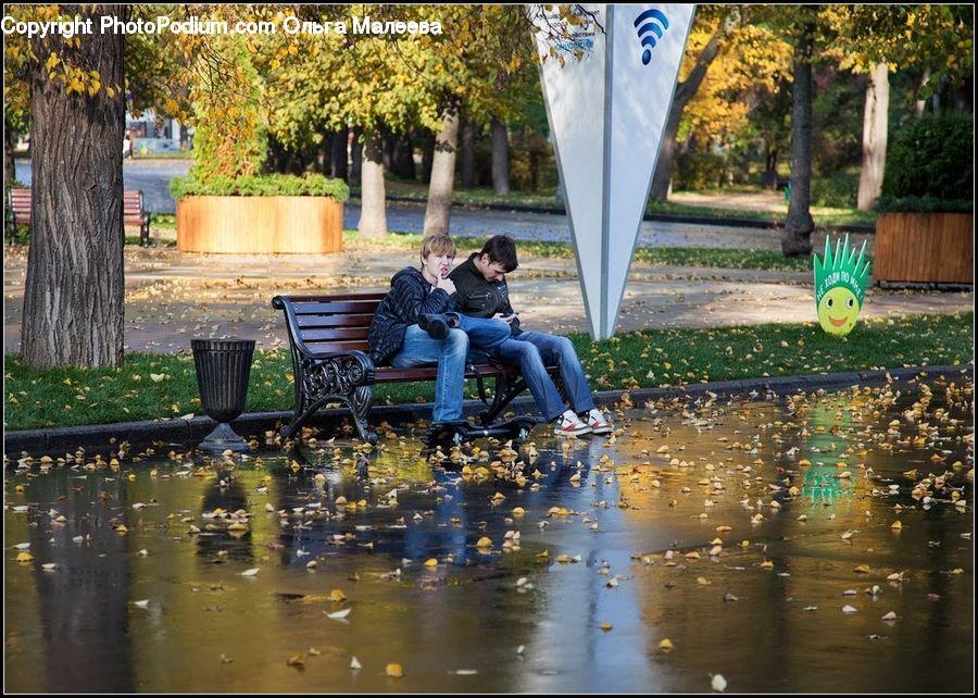 Bench, People, Person, Human, Plant, Potted Plant, Fountain