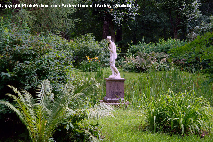 Fern, Plant, Field, Grass, Grassland, Art, Sculpture