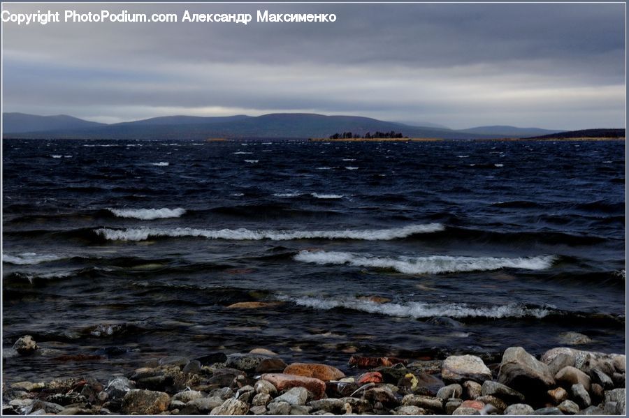 Coast, Outdoors, Sea, Water, Rock, Animal, Mammal