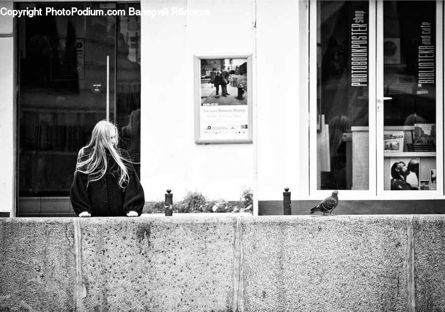 People, Person, Human, Blonde, Female, Woman, Shop