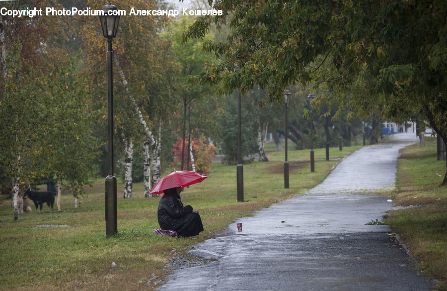 Umbrella, Dirt Road, Gravel, Road, Leisure Activities, Walking, Exercise