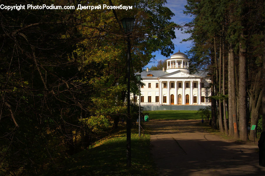 Gazebo, Building, Housing, Villa, Forest, Vegetation, Architecture