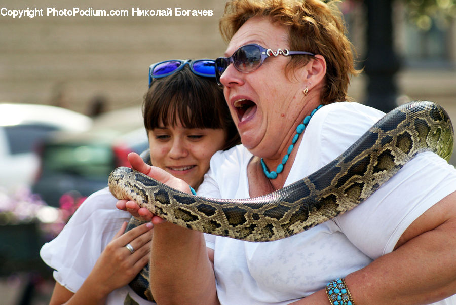 People, Person, Human, Anaconda, Reptile, Snake, Leisure Activities
