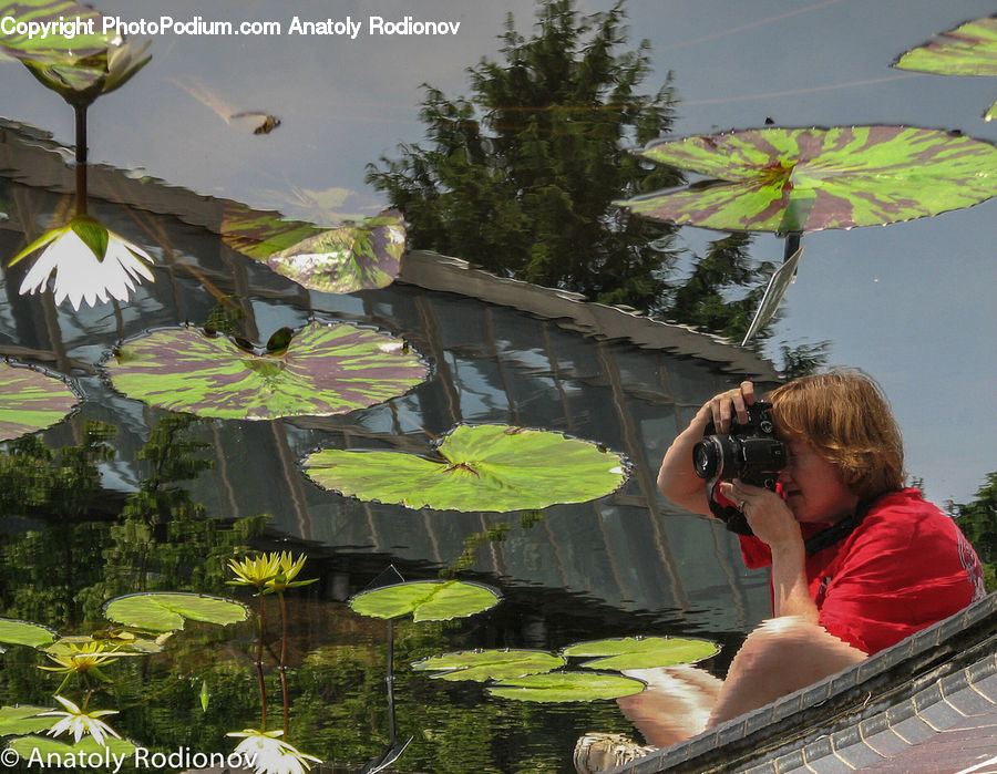 People, Person, Human, Art, Outdoors, Pond, Water