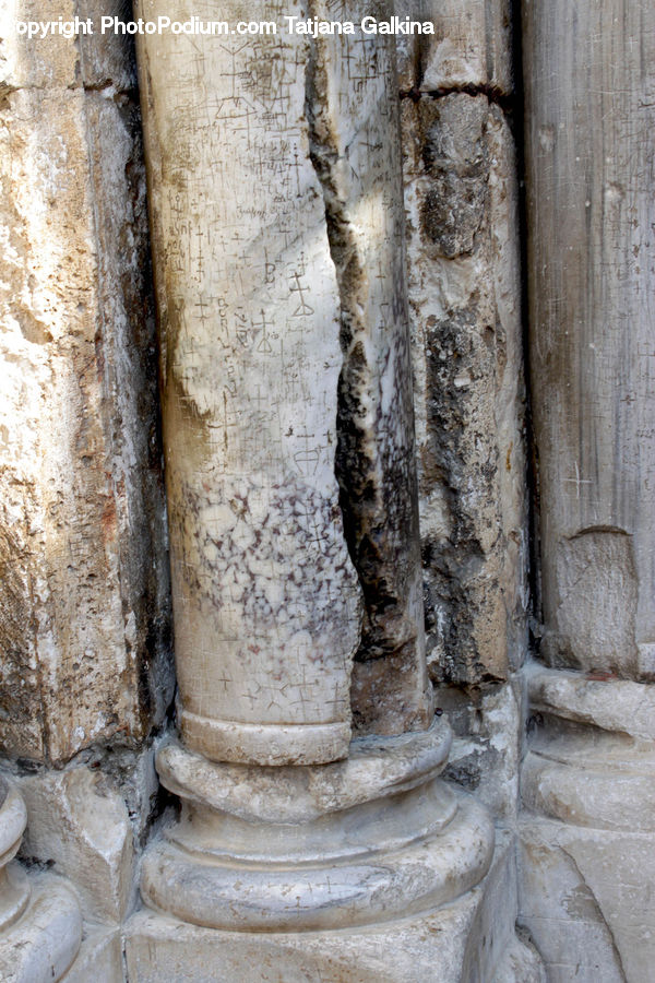 Column, Pillar, Birch, Tree, Wood
