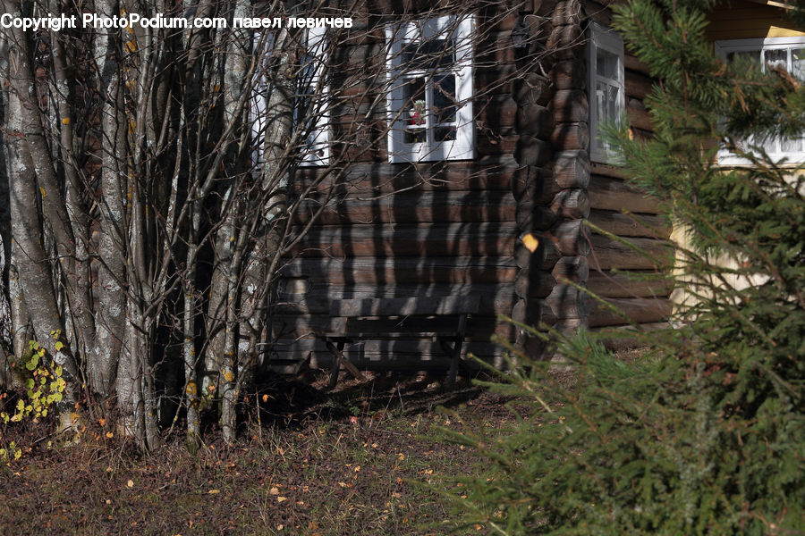 Conifer, Fir, Plant, Tree, Building, Housing, Villa