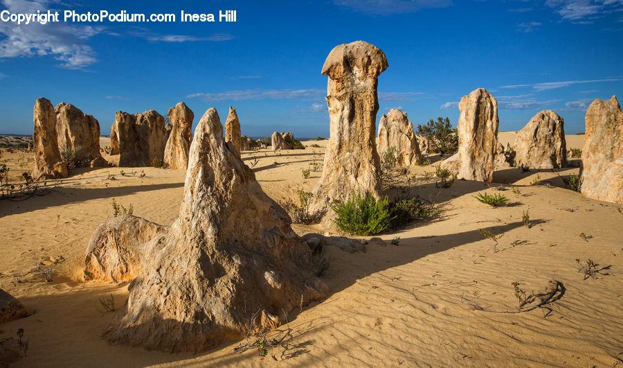 Desert, Outdoors, Rock, Sand, Soil, Plant, Tree