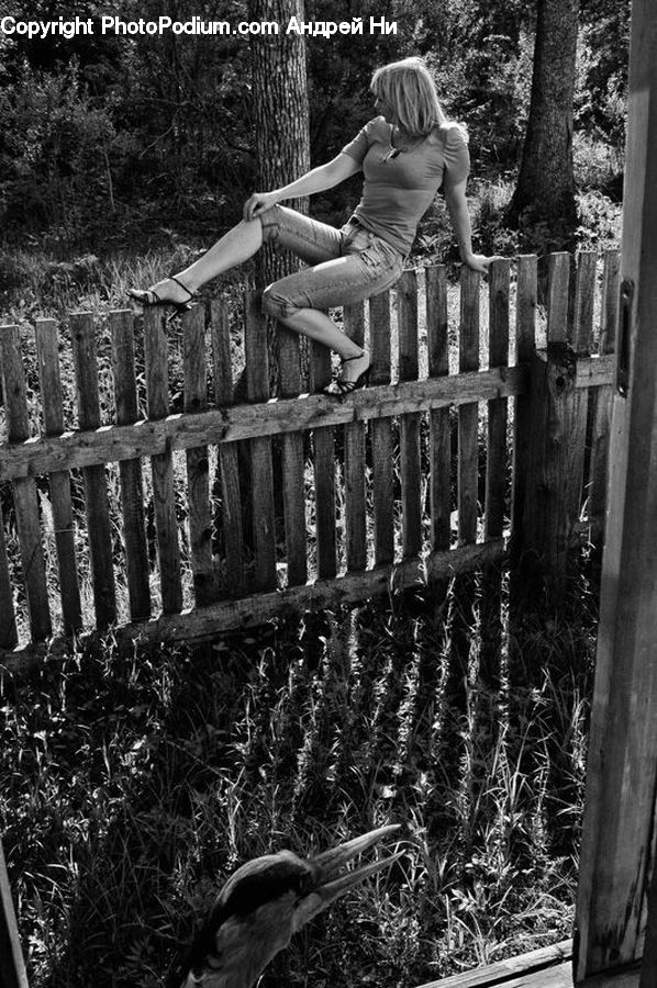 People, Person, Human, Bench, Blonde, Female, Woman