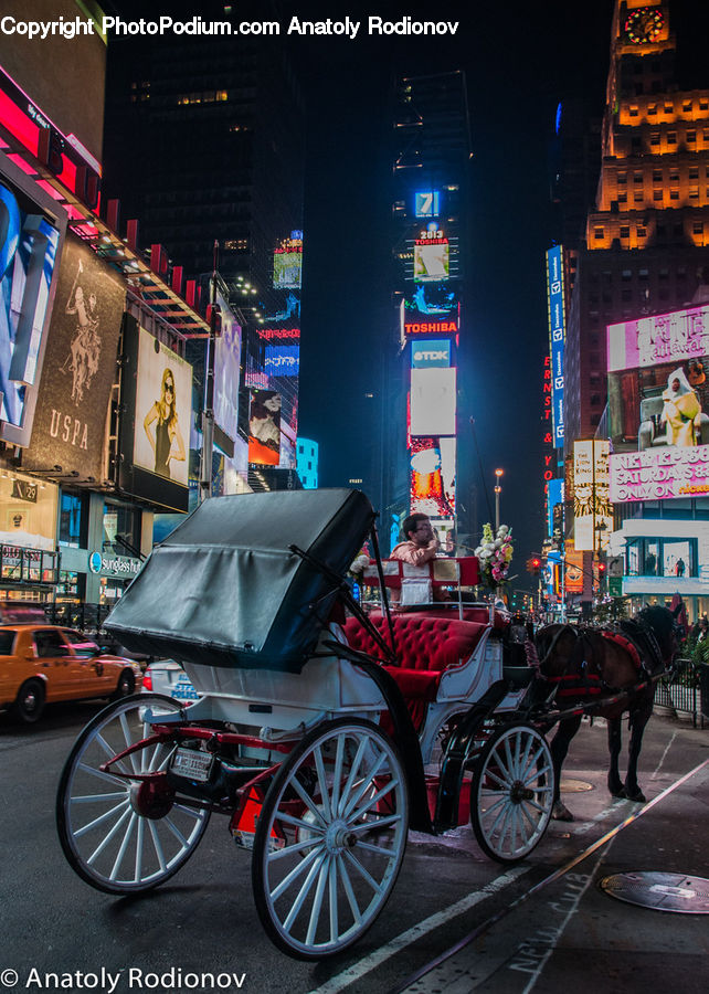Carriage, Horse Cart, Vehicle, Animal, Horse, Mammal, Automobile