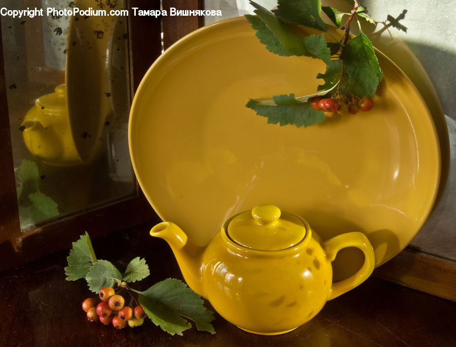 Sink, Plant, Vine, Bowl, Dish, Food, Meal