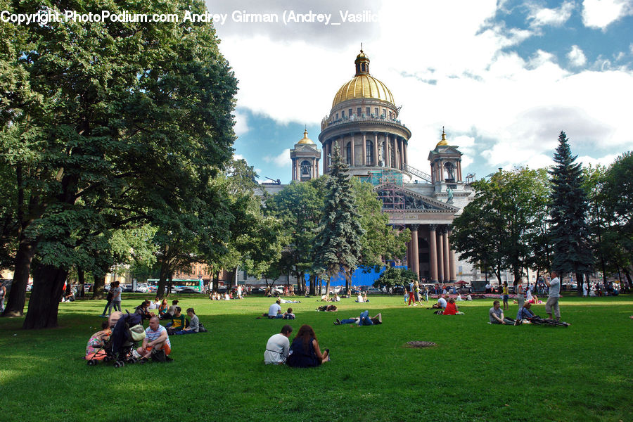 Field, Grass, Lawn, Architecture, Cathedral, Church, Worship
