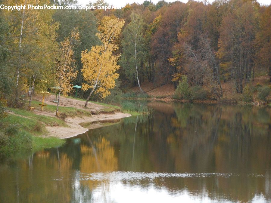 Outdoors, River, Water, Nature, Forest, Vegetation, Canal