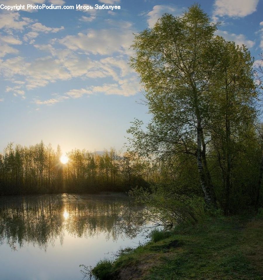 Land, Marsh, Pond, Swamp, Water, Dirt Road, Gravel