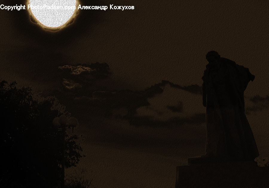 Astronomy, Full Moon, Night, Plant, Potted Plant, Silhouette, Asphalt