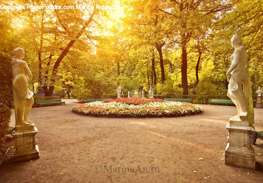 Bench, Blossom, Flora, Flower, Plant, Tulip, Chair