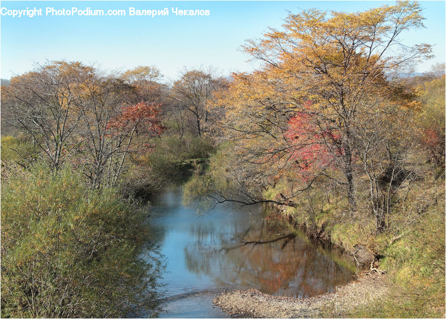 Creek, Outdoors, River, Water, Land, Marsh, Swamp
