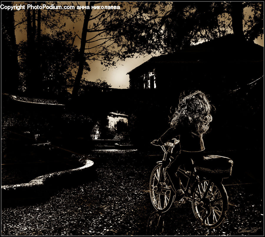 Bicycle, Bike, Vehicle, Night, Outdoors, Tricycle, Forest
