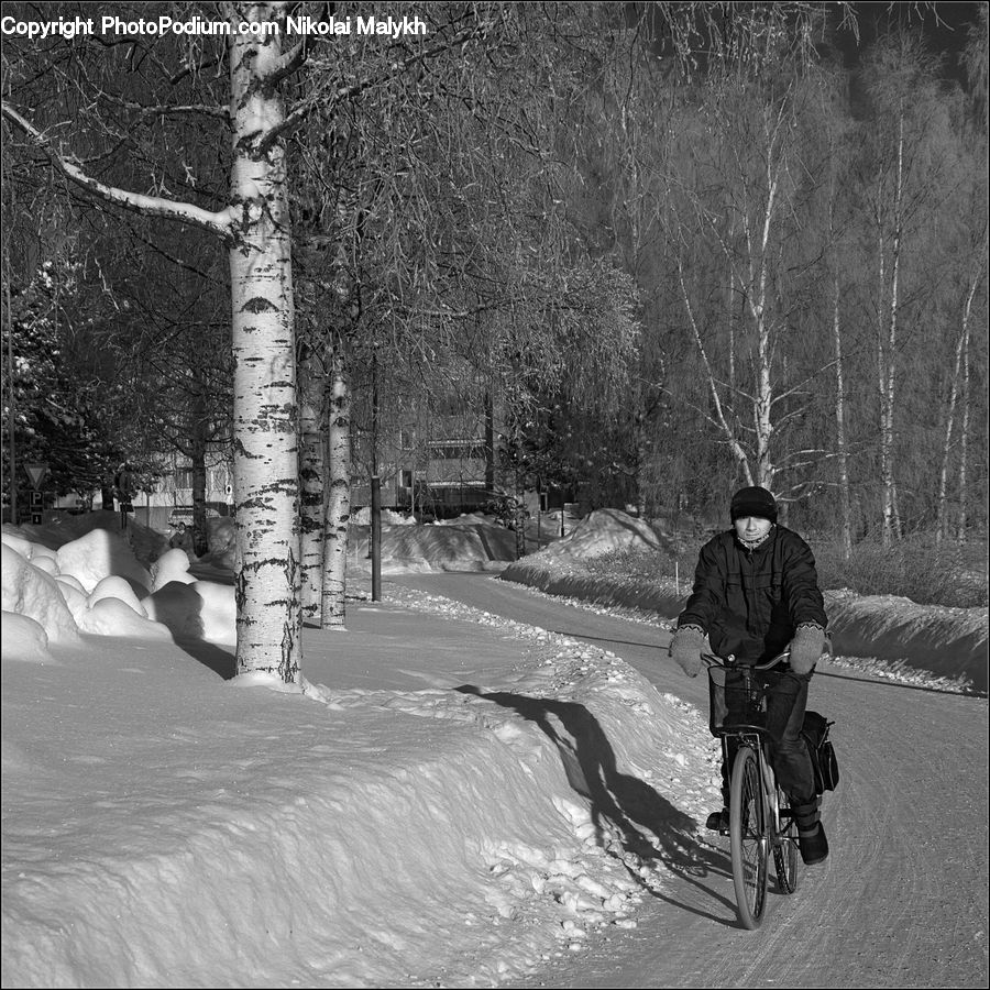 Human, People, Person, Bicycle, Bike, Cyclist, Ice
